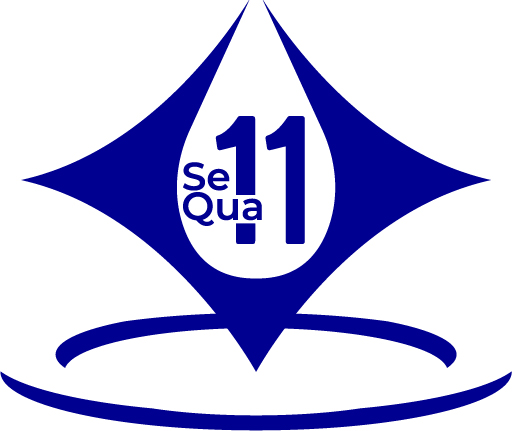 Sequa11